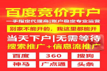 百度SEO推广公司案例汇编：实战优化策略全解析